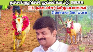 வெள்ளை கொம்பன்||EX அமைச்சர் விஜயபாஸ்கர்||Dr CVB||தச்சங்குறிச்சி ஜல்லிக்கட்டு 2023