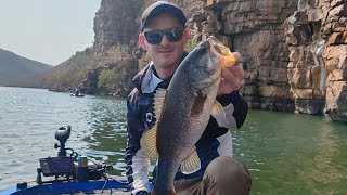 Mokolo Dam Major Bass August 24