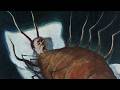 This Man Turned Into a Bug - And It’s Perfectly Normal