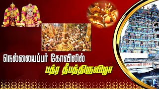 நெல்லையப்பர் ஆலயம் | பத்ர தீபம்  | 2024 | tirunelveli nellaiappar Kanthimathi temple | maasi vizha |