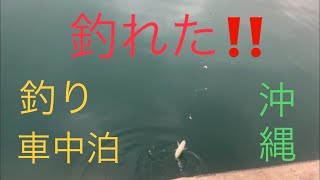 沖縄で釣り車中泊！