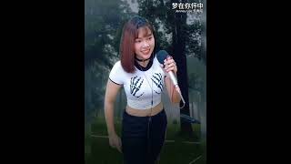 梦在你怀中__林淑容（Jenney Lee 李青昭 翻唱）