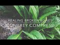 Bone Healing Comfrey Compress: Herbal Healing - Homesteading Family