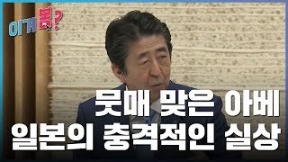 [이거봄?] 5월 첫째 주ㅣ일본의 충격적인 실상, 뭇매 맞은 아베