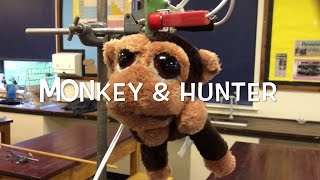 Monkey & Hunter - A Level Physics