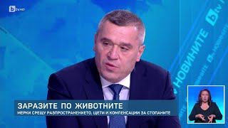 Георги Тахов: Фермерите в контакт със стопанството във Велинград могат да заразят животните си | БТВ