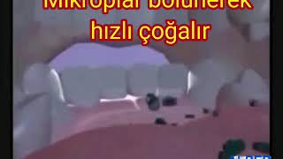 Toplu yaşam güvenliği