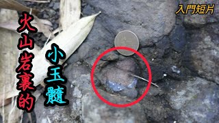 【力克行腳】新手影片 | 火山岩中的小玉髓 | 五寮火山地層 | Observation of volcanic geology