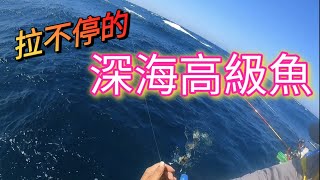 不大咬但能爆桶的基本功～澎湖黃雞魚（上）