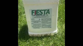 Fiesta organic broadleaf weed killer lawn treatment