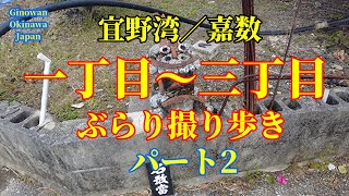 【沖縄/宜野湾】嘉数高台公園前／嘉数一丁目～三丁目周辺ぶらり道草歩きパート2#沖縄散歩 #街歩き#道草