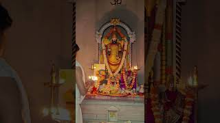 Venkateswara Tirupati Balaji Sandhya Aarti Darshan 🙏🏽🙏🏽 #devotionalsongs ♥️