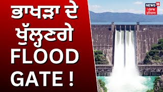 Bhakra Dam Water Level Rise | ਭਾਖੜਾ ਦੇ ਖੁੱਲ੍ਹਣਗੇ Flood Gate ! | Sutlej River | News18 Punjab