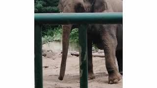 Śmieszna wycieczka do Gdańskiego ZOO