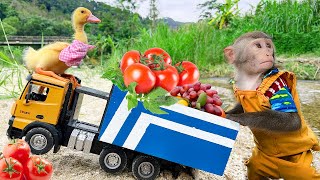 Smart Bim Bim helps dad harvest fruit and helps ducklings get into accident
