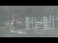 2019.3.9 第63回神奈川県馬術大会2019 第10競技 中障害飛越競技105cm 大森実穂 慶紗号