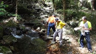 大埔松仔三色路 -摯友旅行隊2014