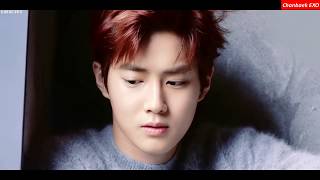 30 faits à savoir sur Suho d'EXO.