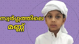 സ്വർഗ്ഗത്തിലെ മണ്ണ്  Sajjad Nalakath Islamic speech Malayalam