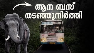 വള്ളക്കടവ് ചെക്ക് പോസ്റ്റിൽനിന്ന് ഗവിയിലേക്ക് യാത്ര ചെയ്യാൻ പറ്റുമോ? | #gavi #pathanamthitta