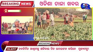 ଚାଷୀ ପ୍ରଭାବିତ କୁଆପଥର ମାଡରେ ll OTK NEWS II KEONJHAR