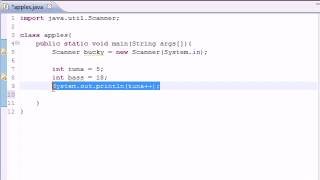 Java Programming Tutorial 9 Increment Operators