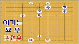 급소자리 차지하고 양수겸장으로 - 장기박보