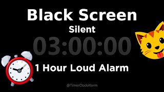 Black Screen 🖥 3 Hour Timer (Silent) 1 Hour Loud Alarm