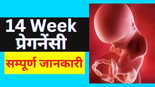 14 Week Pregnancy in Hindi | 14 Week Pregnancy Week by Week | 14 हफ्ते की प्रेगनेंसी | WOMN