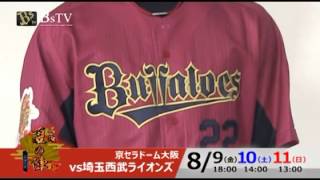 「Bs大坂夏の陣2013」今年のカラーはシャイニングレッド！！～伊藤選手～