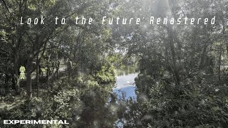Look to the Future (Remastered) - OFFICIAL MUSIC VIDEO