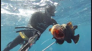 Spearfishing - 2 ⅟₂ techniques for a grouper