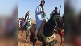 موسم الولي الصالح سيدي محمد بن عمر بقرية أسرير مدينة كلميم باب الصحراء almogar