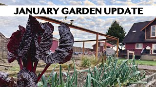 January Garden Update