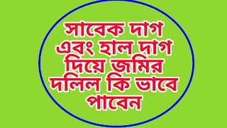 সাবেক দাগ এবং হাল দাগ দিয়ে জমির দলিল কিভাবে পাবেন