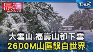 大雪山.福壽山都下雪  2600M山區銀白世界｜TVBS新聞 @TVBSNEWS01