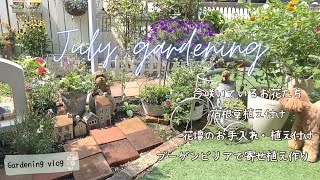 【7月のガーデニング】お庭に咲くお花たち、宿根草植え付け、花壇の手入れ、ブーゲンビリアで寄せ植え