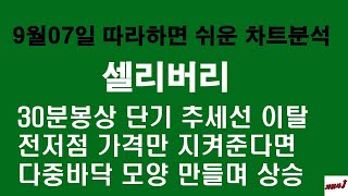 9월07일 차읽사j 셀리버리