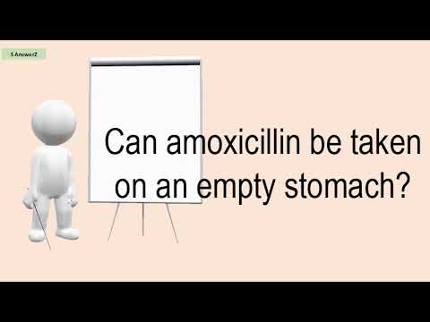 Can I take amoxicillin on an empty stomach?
