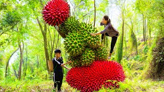 How Women Harvest Million Tons Porcupine Thorn Fruit With Disabled Brother Sell To Villagers