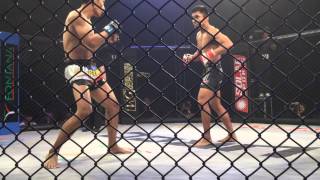 URCC26DOMINATION: fight 9