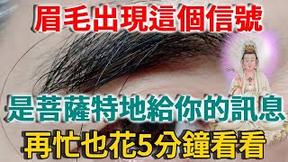 「眉毛一根長，勝過萬擔糧」：50歲後，當你的眉毛出現這個訊號，是佛菩薩在提醒你，命運從此會有大變，千萬要注意！