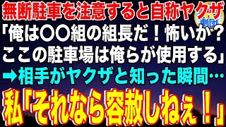 【スカッと】私有地に何度も無断駐車を繰り返す自称ヤクザ「俺は〇〇組の組長！ここは俺の組の駐車場だ」私「それなら容赦しねぇぞ！」→イキがるDQNヤクザに本当の恐怖を教えてやった【感動】