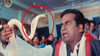 Brahmanandam Superb Movie comedy scene Comedy Hungama