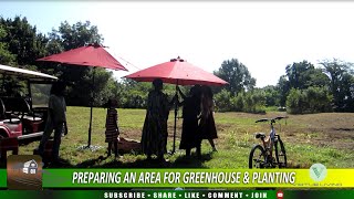 PREPARING AN AREA FOR GREENHOUSE & PLANTING