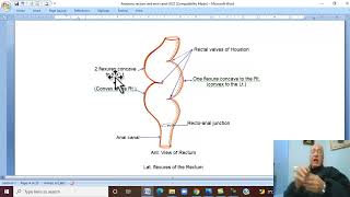 Anatomy GIT Module in Arabic  45 ( Rectum , part 1 ) ,  by Dr, Wahdan