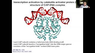 PDB50: Celebrating PDB Contributions from Rutgers | Richard Ebright