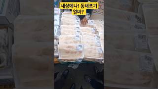 경동시장   세상에나! 동태포가 2천원 대박이네~