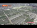 seperti ini luas hamparan tanaman cabe di lubuk cuik kabupaten batubara fyp farming drone