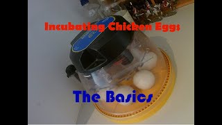 Hatching eggs using an incubator - the basics